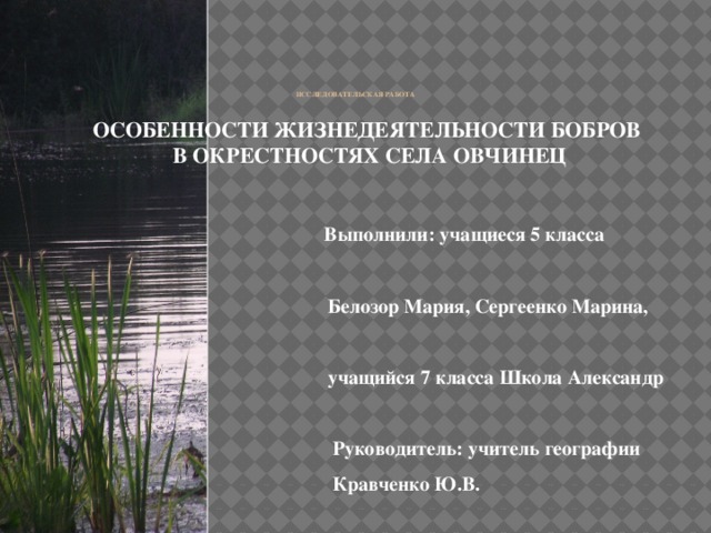 ИССЛЕДОВАТЕЛЬСКАЯ РАБОТА ОСОБЕННОСТИ ЖИЗНЕДЕЯТЕЛЬНОСТИ БОБРОВ В ОКРЕСТНОСТЯХ СЕЛА ОВЧИНЕЦ   Выполнили: учащиеся 5 класса  Белозор Мария, Сергеенко Марина,  учащийся 7 класса Школа Александр   Руководитель: учитель географии  Кравченко Ю.В.  ОВЧИНЕЦ, 2015