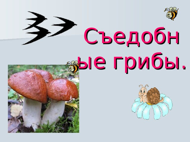 Съедобные грибы.