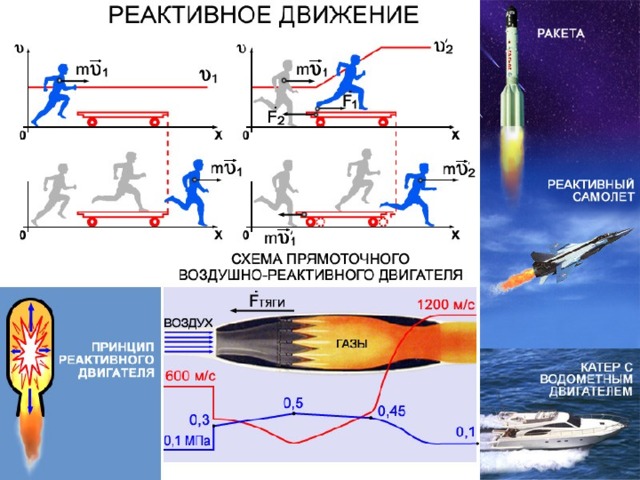 Проект реактивное движение в природе и технике