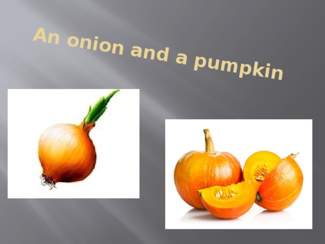 An onion and a pumpkin