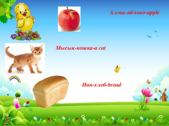 Алма-яблоко-apple Мысық-кошка-a cat Нан-хлеб-bread