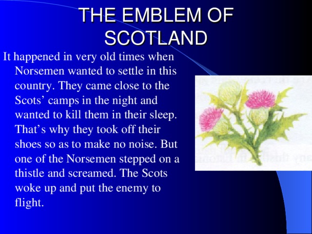 THE EMBLEM OF SCOTLAND It happened in very old times when Norsemen wanted to settle in this country. They came close to the Scots’ camps in the night and wanted to kill them in their sleep. That’s why they took off their shoes so as to make no noise. But one of the Norsemen stepped on a thistle and screamed. The Scots woke up and put the enemy to flight.