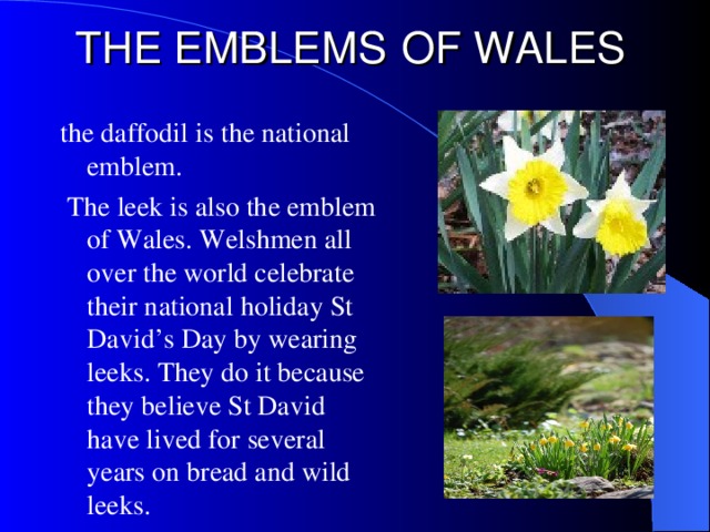 THE EMBLEM S  OF WALES t he daffodil is the national emblem.  The leek is also the emblem of Wales. Welshmen all over the world celebrate their national holiday St David’s Day by wearing leeks. They do it because they believe St David have lived for several years on bread and wild leeks.