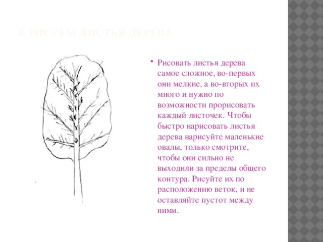 4. Рисуем листья дерева