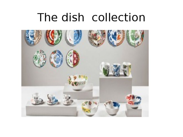 The dish collection