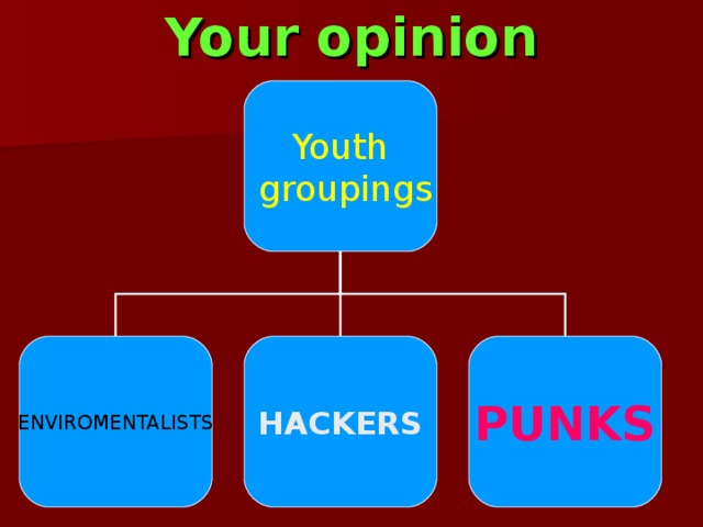 Your opinion Youth  groupings ENVIROMENTALISTS HACKERS PUNKS