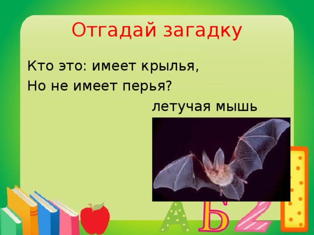 Отгадай загадку  Кто это: имеет крылья,  Но не имеет перья?  летучая мышь