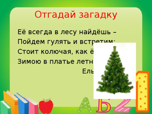 Отгадай загадку  Её всегда в лесу найдёшь –  Пойдем гулять и встретим:  Стоит колючая, как ёж,  Зимою в платье летнем.  Ель