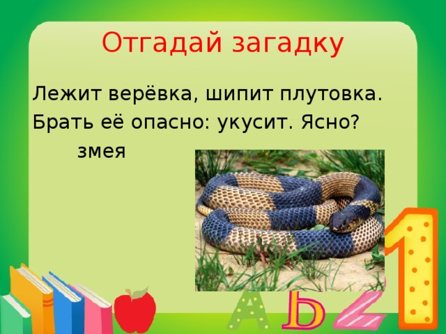 Отгадай загадку Лежит верёвка, шипит плутовка. Брать её опасно: укусит. Ясно?  змея