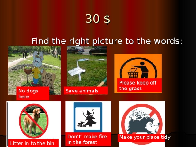 30 $    Find the right picture to the words: Please keep off the grass No dogs here Save animals Don’t’ make fire In the forest Make your place tidy Litter in to the bin