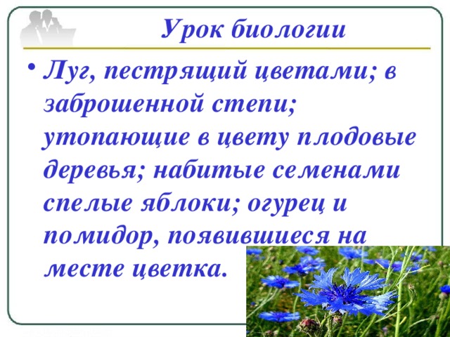 Степь весело пестреет цветами скромными синими колокольчиками схема