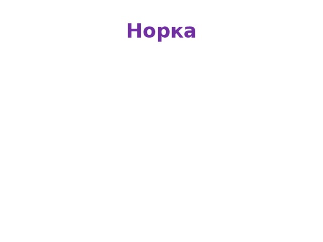 Норка