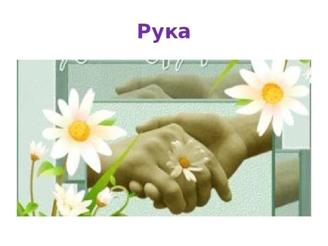 Рука