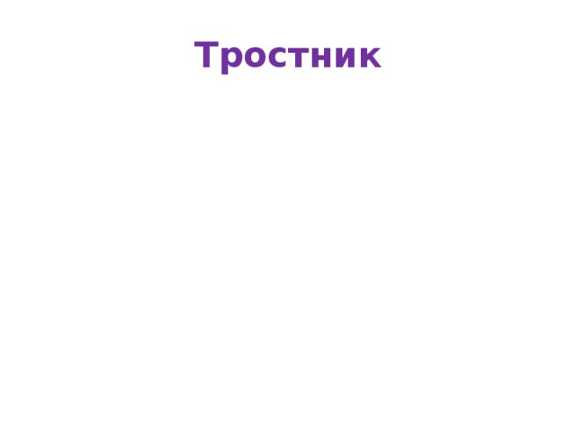 Тростник