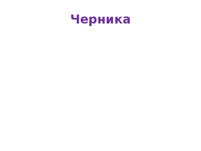 Черника