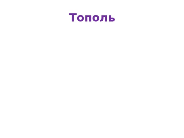 Тополь