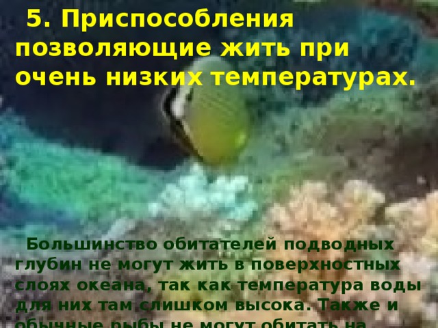 5. Приспособления позволяющие жить при очень низких температурах.        Большинство обитателей подводных глубин не могут жить в поверхностных слоях океана, так как температура воды для них там слишком высока. Также и обычные рыбы не могут обитать на морских глубинах