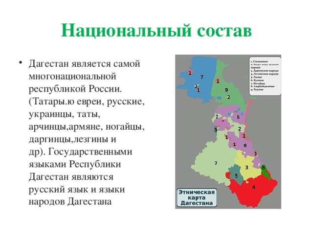 Презентация национальность дагестанцы