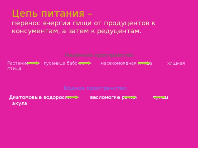 Цепь питания –   перенос энергии пищи от продуцентов к консументам, а затем к редуцентам. Наземное пространство Растение гусеница бабочки насекомоядная птица хищная птица Водное пространство Диатомовые водоросли веслоногие рачки тунец акула