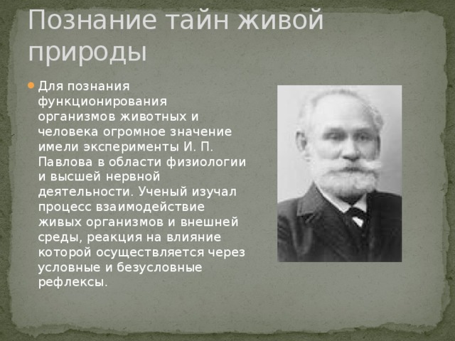 Познание тайн живой природы Для познания функционирования организмов животных и человека огромное значение имели эксперименты И. П. Павлова в области физиологии и высшей нервной деятельности. Ученый изучал процесс взаимодействие живых организмов и внешней среды, реакция на влияние которой осуществляется через условные и безусловные рефлексы.