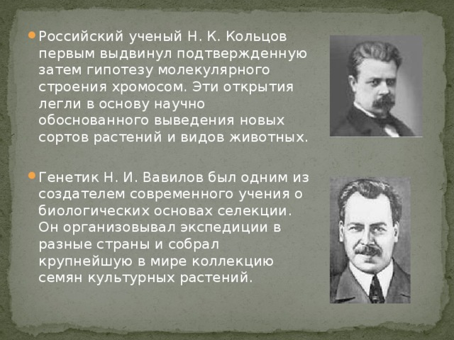 Российский ученый Н. К. Кольцов первым выдвинул подтвержденную затем гипотезу молекулярного строения хромосом. Эти открытия легли в основу научно обоснованного выведения новых сортов растений и видов животных. Генетик Н. И. Вавилов был одним из создателем современного учения о биологических основах селекции. Он организовывал экспедиции в разные страны и собрал крупнейшую в мире коллекцию семян культурных растений.