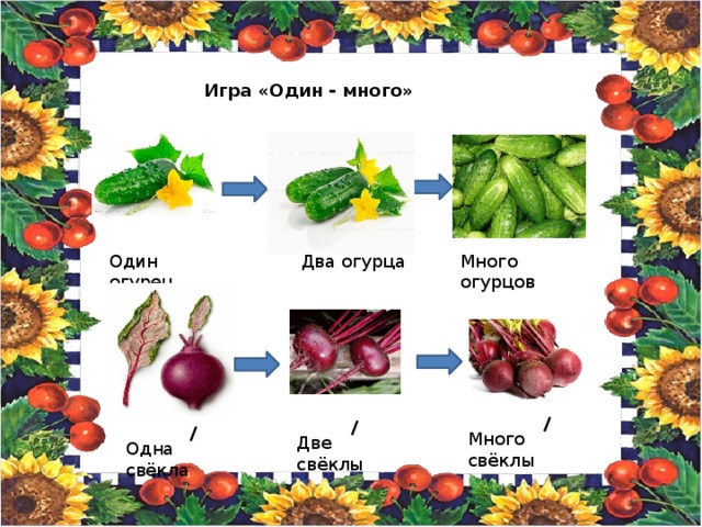 Овощи картинки один много