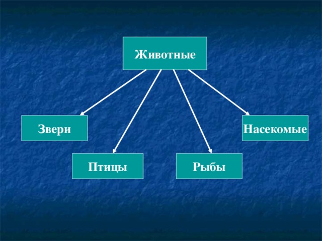 Животные Звери Насекомые Птицы Рыбы