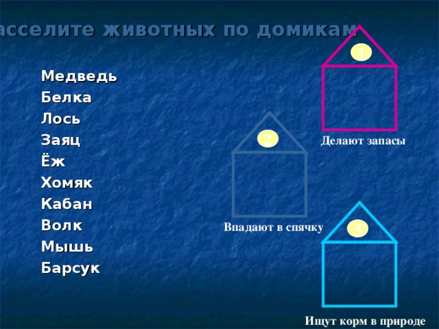 Расселите животных по домикам 1 Медведь Белка Лось Заяц Ёж Хомяк Кабан Волк Мышь Барсук  2 Делают запасы Впадают в спячку 3 Ищут корм в природе