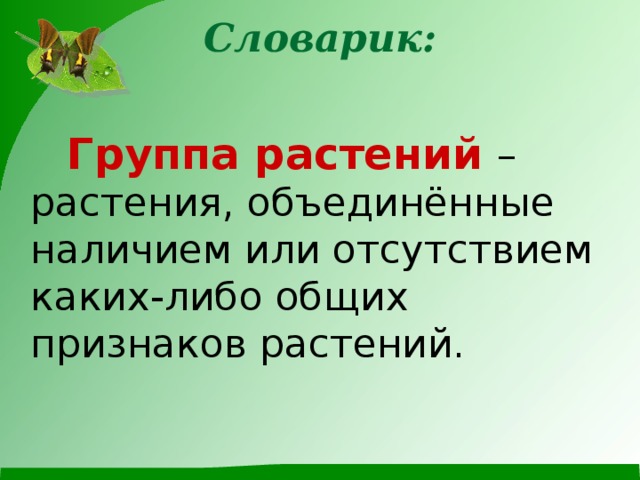 Словарик:     Группа растений – растения, объединённые наличием или отсутствием каких-либо общих признаков растений.