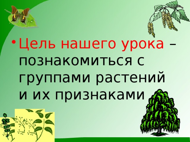 Цель нашего урока  – познакомиться с группами растений и их признаками