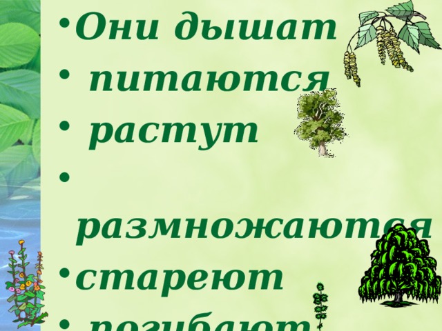 Они дышат  питаются  растут  размножаются стареют  погибают