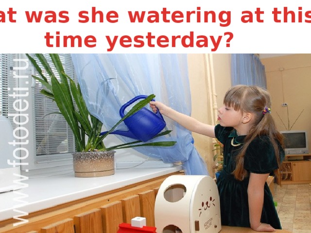 What was she watering at this time yesterday?