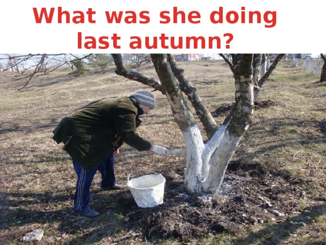What was she doing last autumn?
