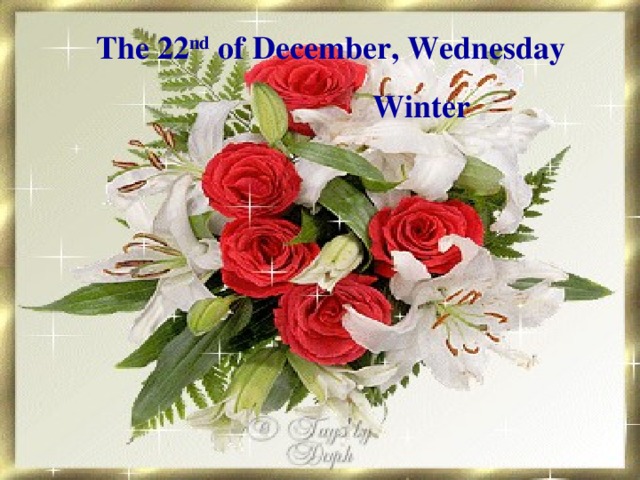 The 22 nd of December,  Wednesday    Winter