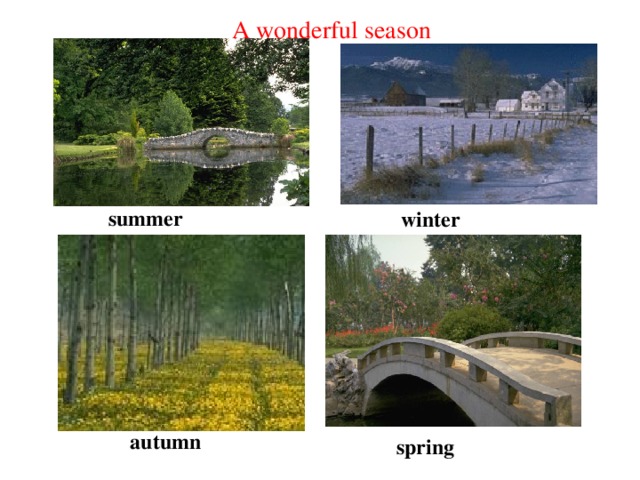 A wonderful season summer winter autumn spring