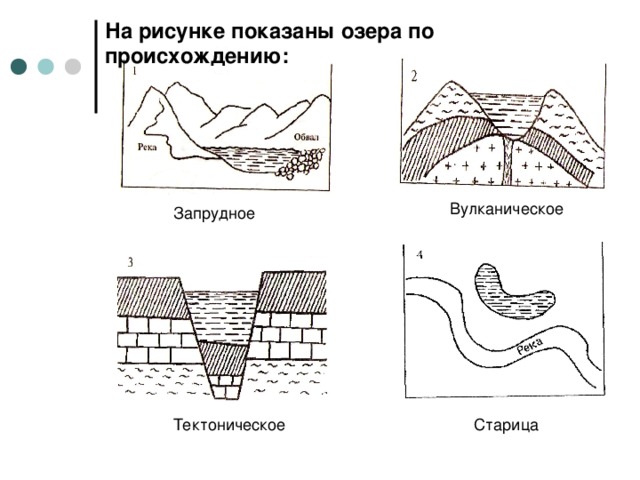 На рисунке показаны озера по происхождению: Вулканическое Запрудное Тектоническое Старица