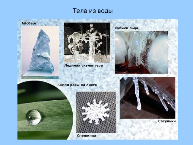 Тела из воды