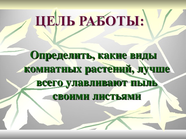 Определить, какие виды комнатных растений, лучше всего улавливают пыль своими листьями