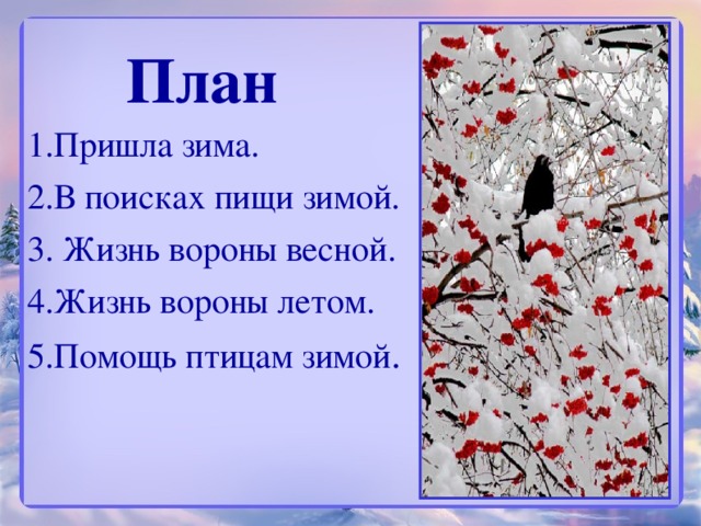 План 1.Пришла зима. 2.В поисках пищи зимой. 3. Жизнь вороны весной. 4.Жизнь вороны летом. 5.Помощь птицам зимой .