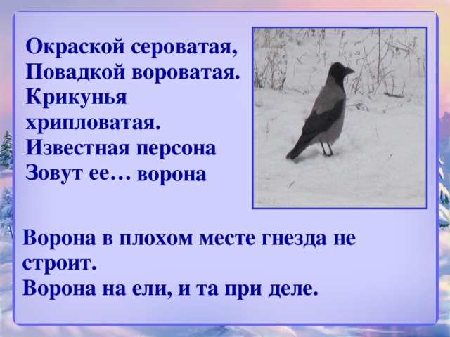 Окраской сероватая, Повадкой вороватая. Крикунья хрипловатая. Известная персона Зовут ее… ворона Ворона в плохом месте гнезда не строит. Ворона на ели, и та при деле.