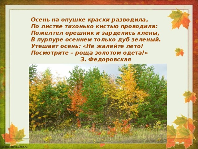 Осень на опушке краски разводила, По листве тихонько кистью проводила: Пожелтел орешник и зарделись клены, В пурпуре осеннем только дуб зеленый. Утешает осень: «Не жалейте лето! Посмотрите – роща золотом одета!»      З. Федоровская