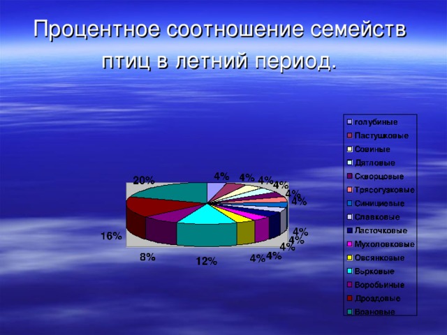 Процентное соотношение семейств птиц в летний период.