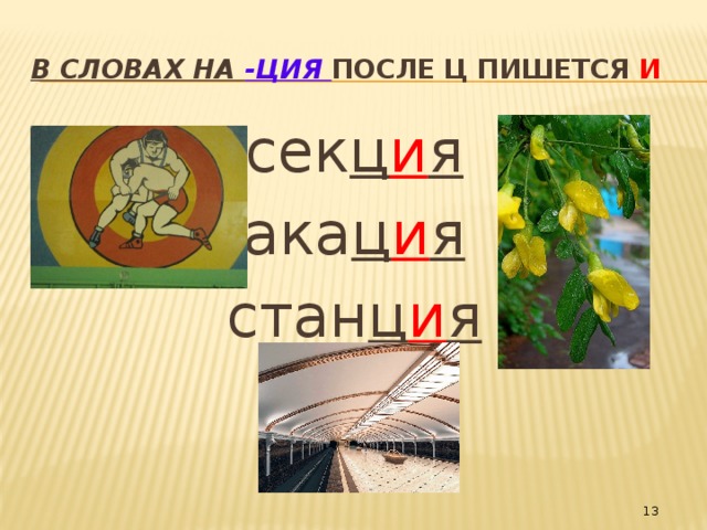 В словах на -ЦИЯ после Ц пишется И сек ц и я ака ц и я стан ц и я