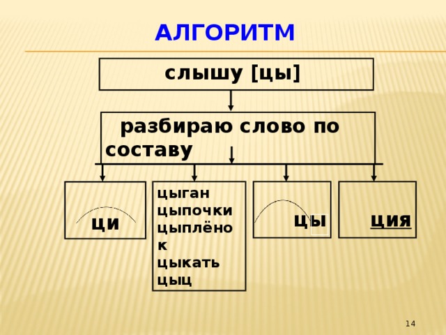 Алгоритм слышу [цы]  разбираю слово по составу цыган ция цы цыпочки цыплёнок цыкать цыц ци