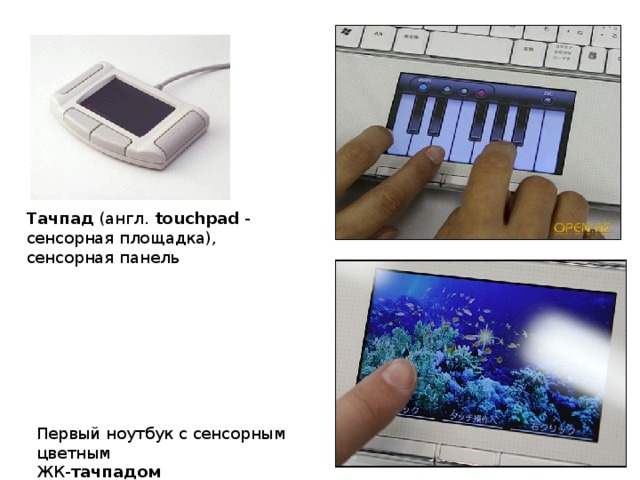 Тачпад (англ. touchpad - сенсорная площадка), сенсорная панель Первый ноутбук с сенсорным цветным  ЖК- тачпадом
