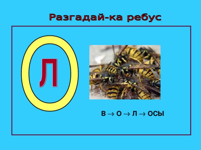 П м м л осу