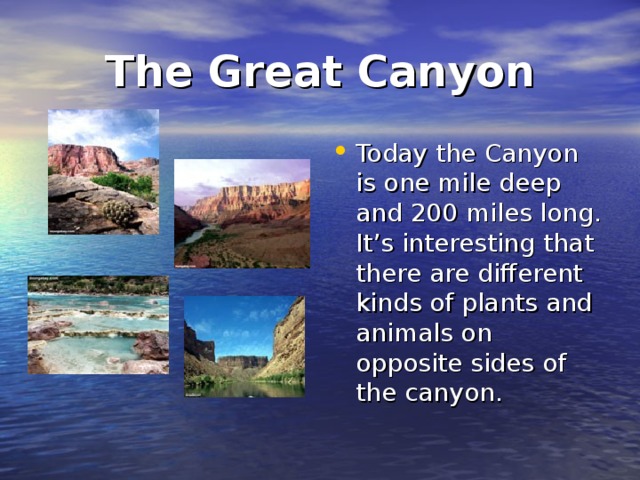 The Great Canyon