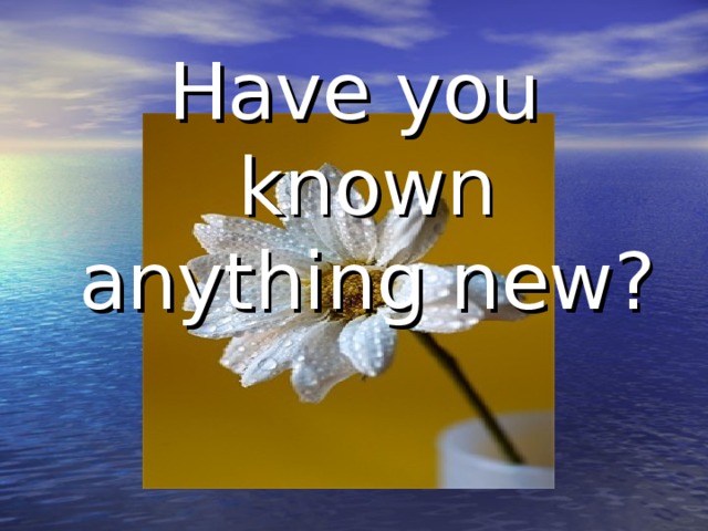 Have you known anything new?