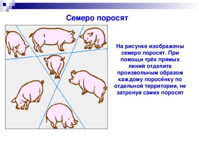 Найти свинью на картинке ответы