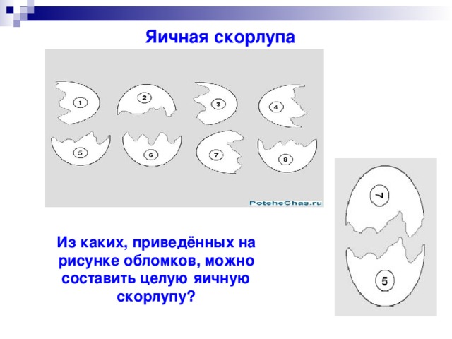 Яичная скорлупа Из каких, приведённых на рисунке обломков, можно составить целую яичную скорлупу?